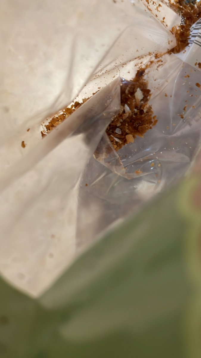 libsguide's tweet image. The best food on earth is the crumbs at the bottom of a cracker bag.  CHANGE MY MIND.