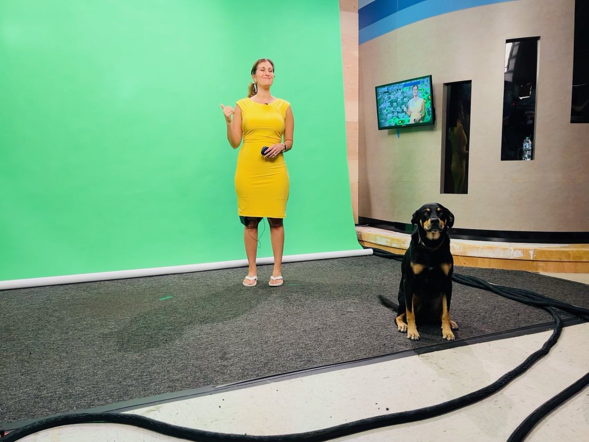 ariellascalese's tweet image. What you don&apos;t see on TV...

@dog_rates @GrayTVDogs #weatherdog #muttsoftwitter @wbkotv