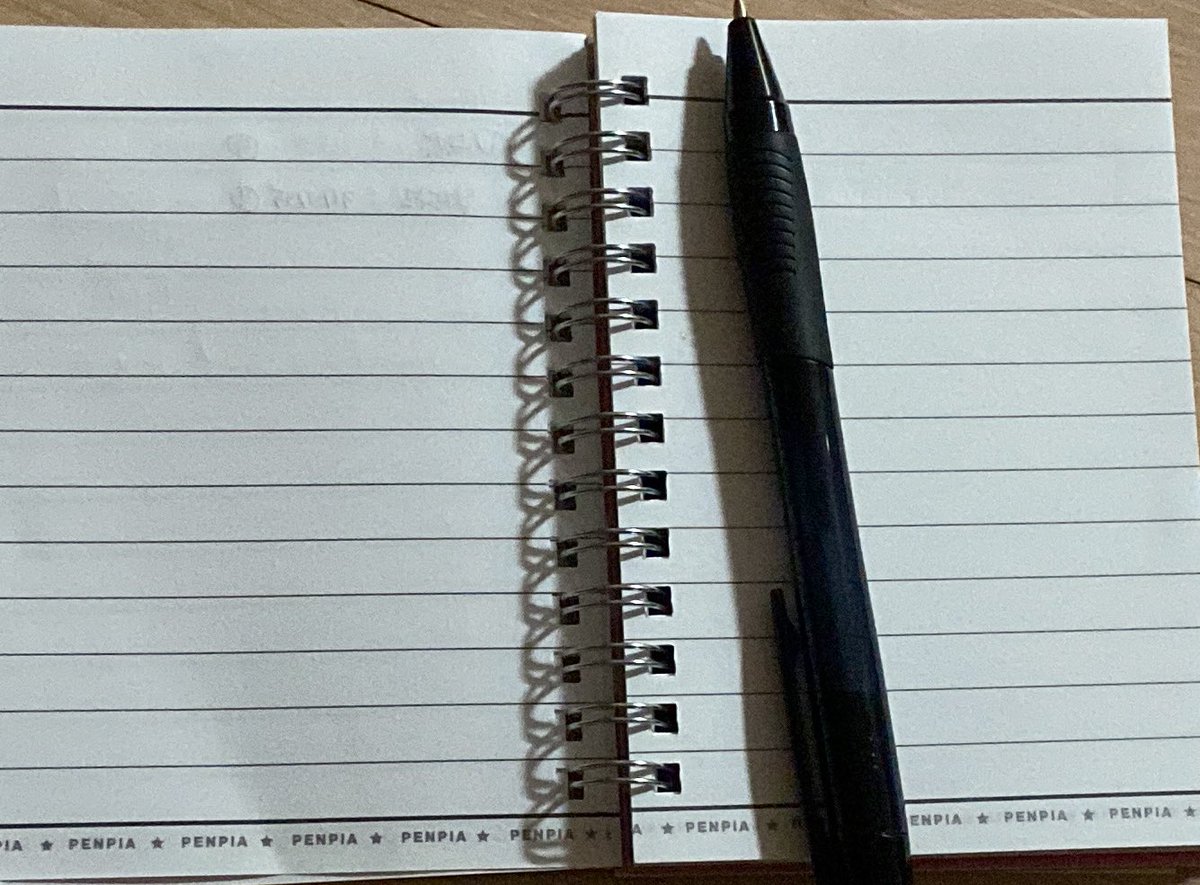 🤎🟨 Judy🐞 tweet media