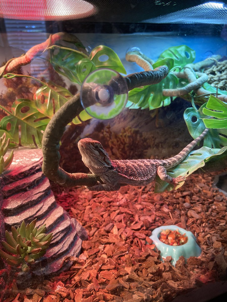 Rachel Munnerlyn tweet media