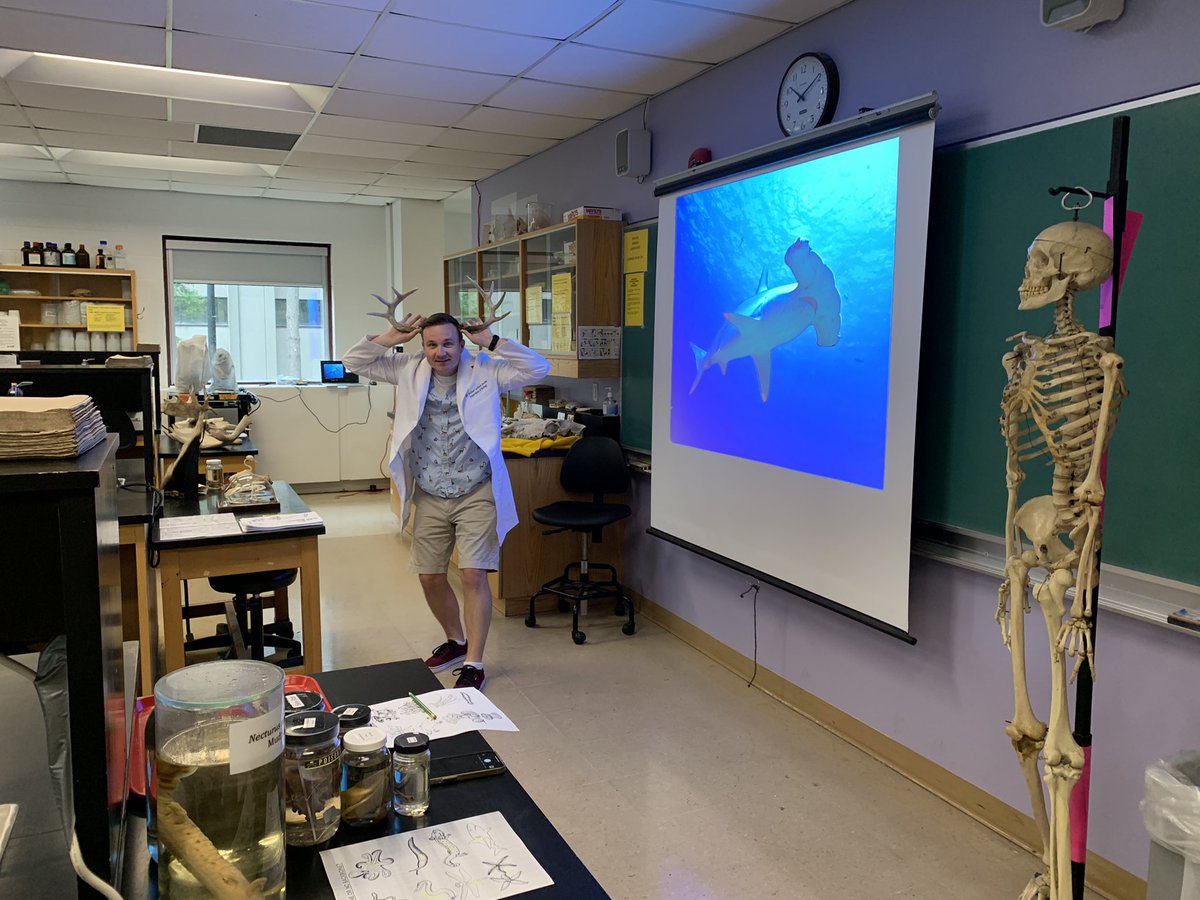 Mollusc_Man's tweet photo. Had a great time with @yorkuniversity Explore Summer Science Camp this morning. Thanks for your help Krystina Strickler and @c_arbanas!!! https://t.co/4MDh1Y3DM3