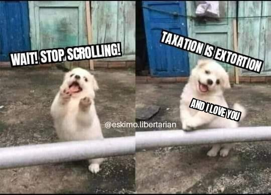 Fredericksburg Libertarian Party tweet media