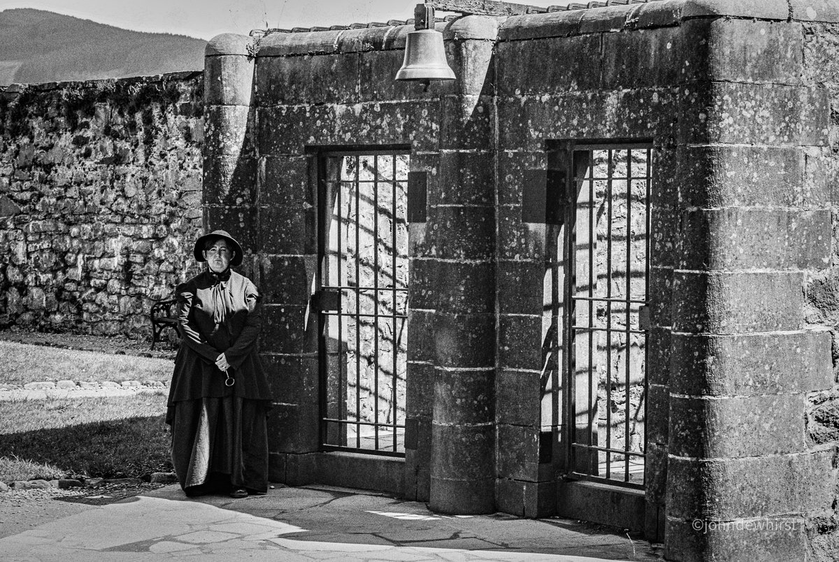 johndewhirst tweet media