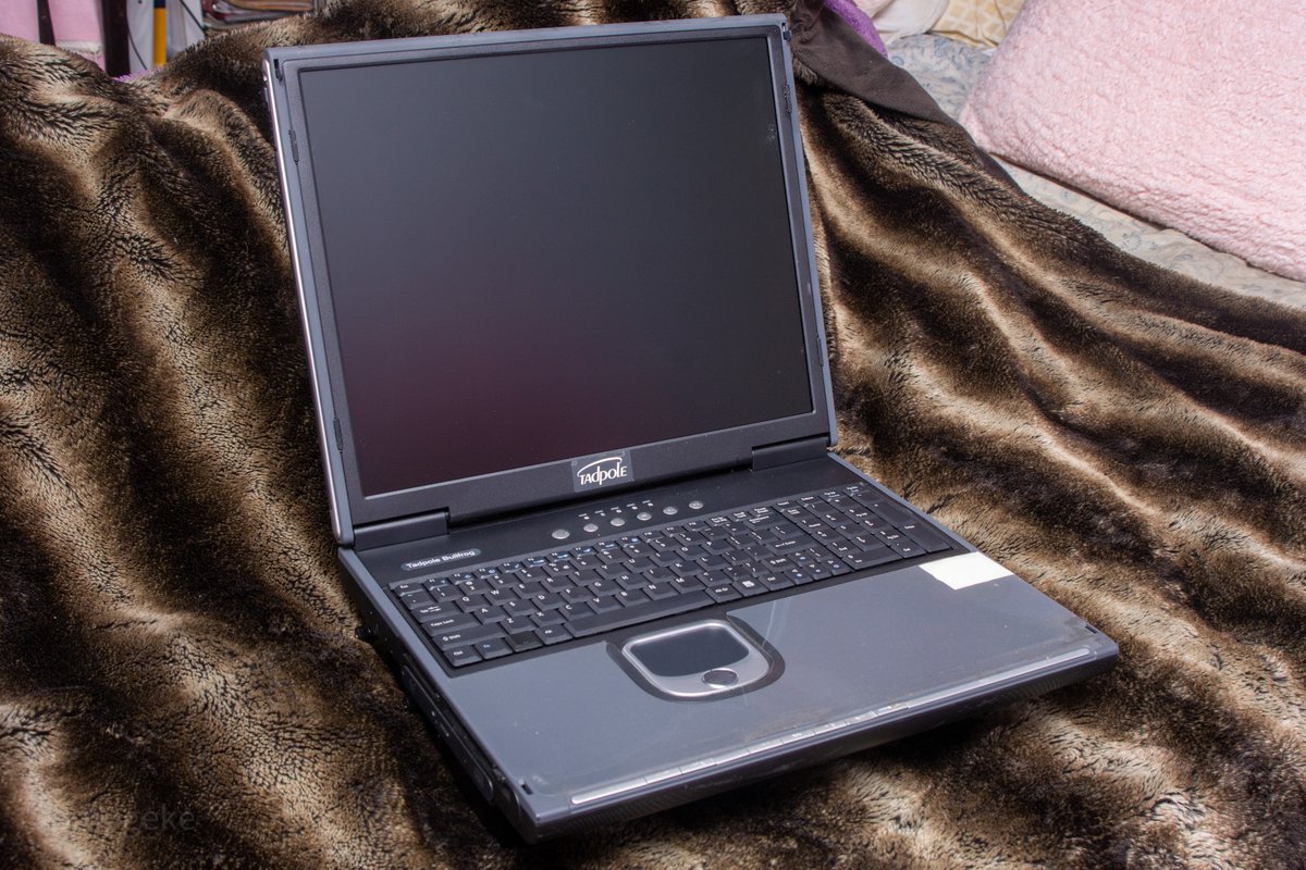 Chris Satterfield tweet media