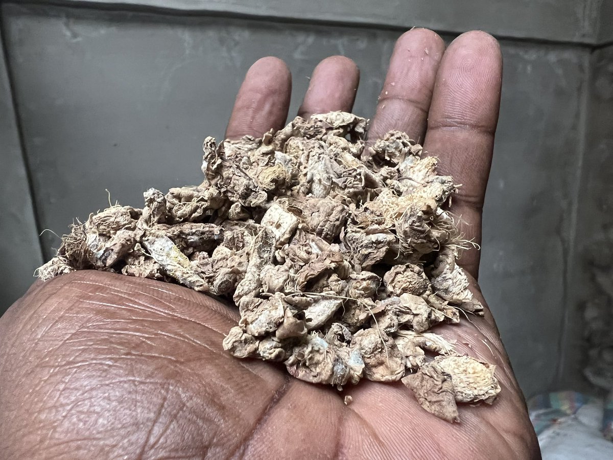 johndumelo's tweet photo. Tons of dry ginger available…… https://t.co/RrpL5jbaN3
