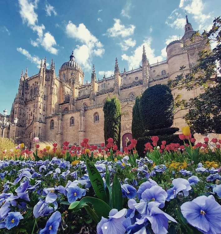 OkeySalamanca's tweet photo. 📸LA FOTOGRAFÍA| La fotografía de hoy es de Ángel Prieto. Imagen de la Catedral de Salamanca desde la plaza de Anaya.

https://t.co/2EjlceYHUB https://t.co/bT63CzW10s