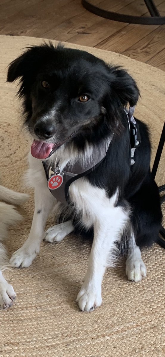 MyNameIs tweet media