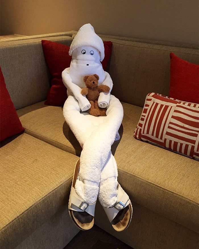 through_al's tweet photo. It’s TOWEL PEOPLE TUESDAY time!#travel #cruising #cruiselife #cruise #Carnival #MardiGras #people #toweltuesday #TowelAnimal #RCL #RoyalCaribbean #TowelAnimalTuesday #cruiseship #Caribbean #Towel #Fun #Norwegian #memories #funship  #tradition #CruisingThroughLifewithAlandJeannie https://t.co/EhG2qKo9IE