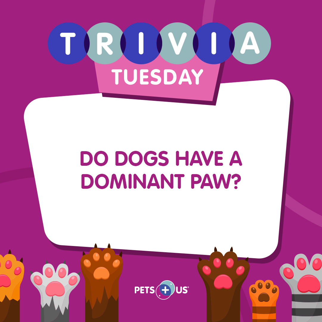 PetsPlusUsIns's tweet photo. #Win a $25 PetSmart gift card! To enter, answer the question, retweet this post and follow @PetsPlusUsInsby 11:59PM EST. Open to Canadian &amp; US residents (excluding QC). This contest is not sponsored, endorsed, administered by or associated with Twitter. https://t.co/EOVKz8MMkV https://t.co/eXrHJ09AQx