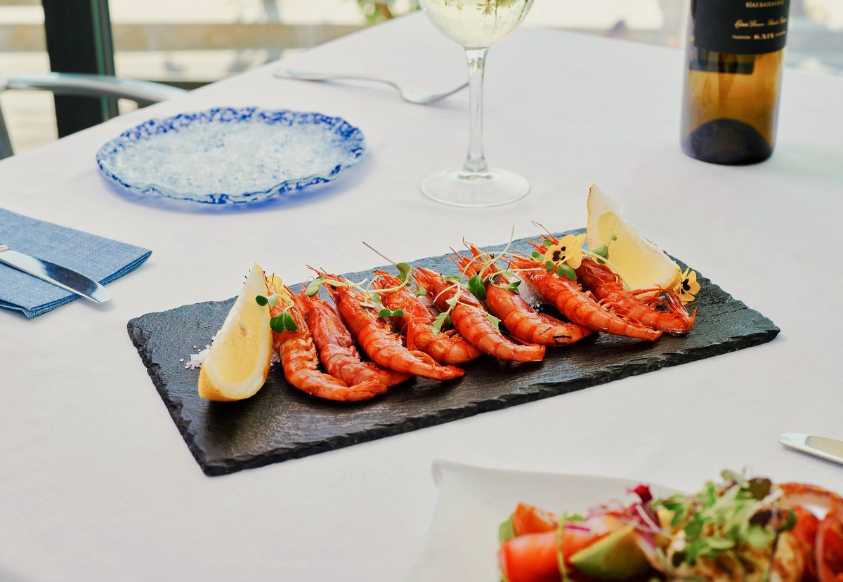 Hotel Calipolis tweet media