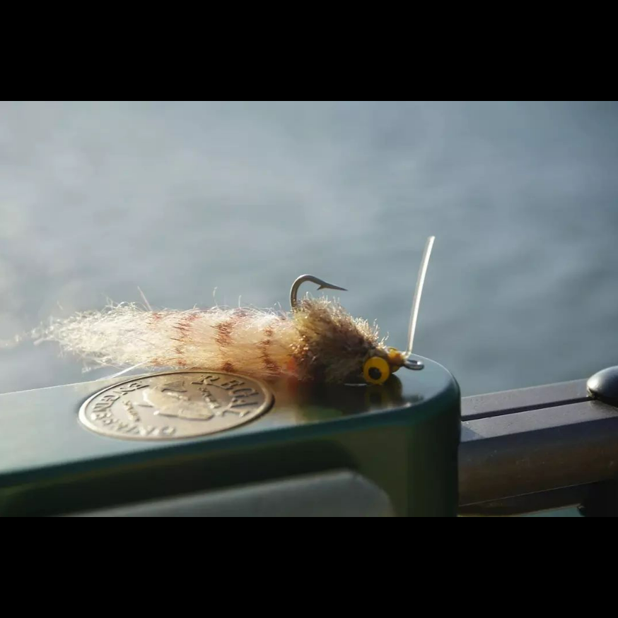Saltwateronfly's tweet photo. Great looking pattern
@guideflies
Guide Goby is our Kwan/Slider blend that imitates succulent little gobies found all over the flats. 
.
#guideflies #flyfishing #flytying #onthefly #fishingflies #permit #permitflies #bonefish #bonefishflies #triggerfish  #saltwaterflyfishing https://t.co/cLkAQwM5PO