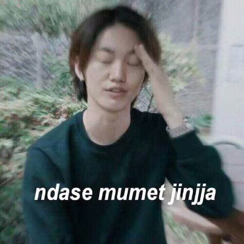 🦕 — kinda ia tweet media