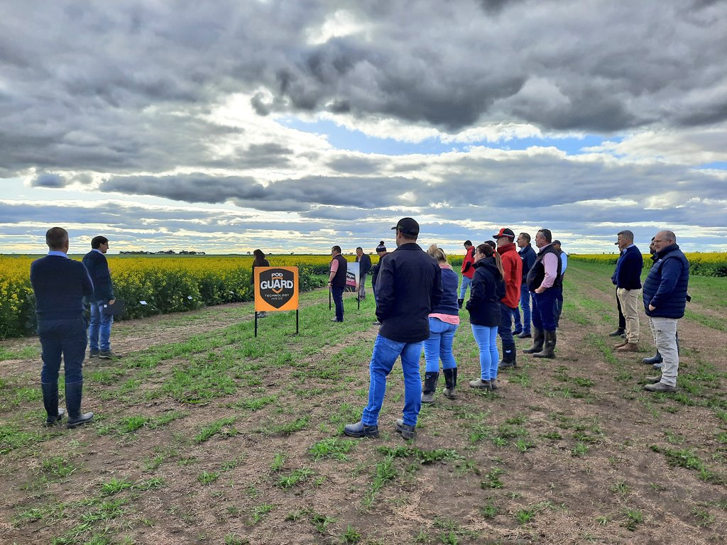 CroucherEike's tweet photo. What a beautiful day out in the field at Longerenong with @EldersLimited and our @BASF_Agro_Au team, viewing and discussing our latest innovations coming through for #Australian #producers. That #InVigor #canola with #PodGuard sure looks great. #innovation #technology https://t.co/WJKj9zT63r