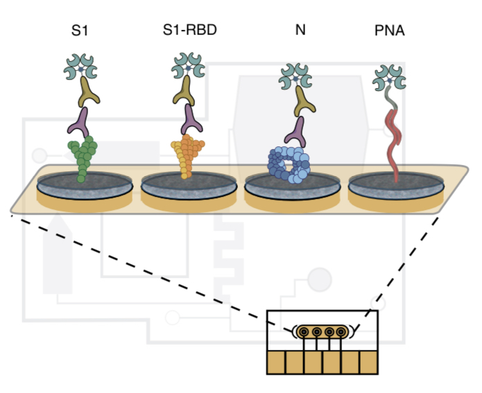 Nature Biomedical Engineering tweet media
