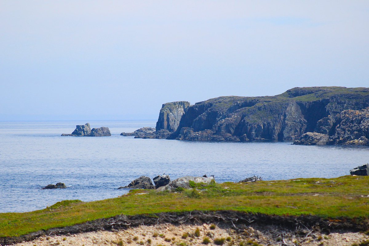 capturedisland's tweet photo. #capturedislandphotography #landscape #landscapephotography #newfoundland #explorenl #photo #photography #photooftheday #photographer #canonphotography https://t.co/uTWaADW06d