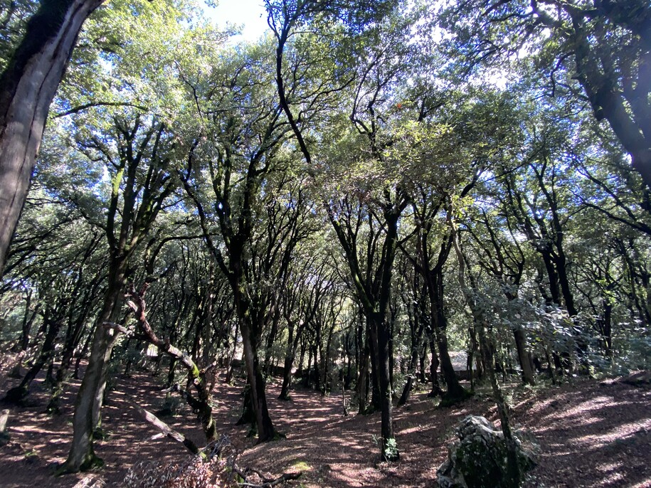 Center for Arts, Design + Social Research tweet media