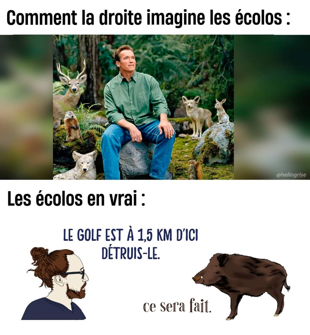 Chaude pour lancer la chaîne télégram pour organiser ça