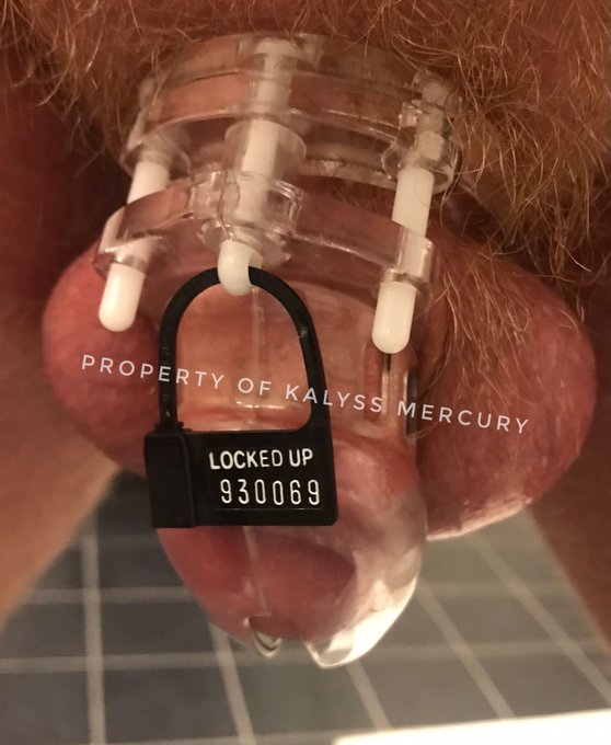 1 pic. We have a 5h session tomorrow, & he's already in the zone. Good pet!
#chastity #LOCKEDUP
#dominatrix
