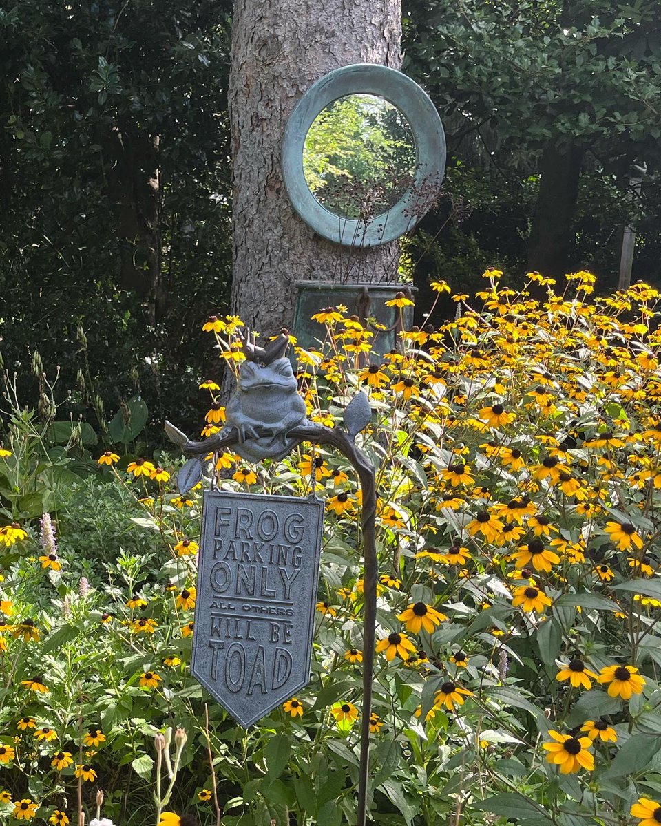 WDCGardener's tweet photo. Yellow and blue is a classic garden combination. This corner of @northviewgarden is enchanting - love the frog theme touches too! So happy to finally get a chance to visit with @GardenComms this past weekend. #gardendc #gardencolor #bluegarden #gardencombos https://t.co/r8BiEI369f