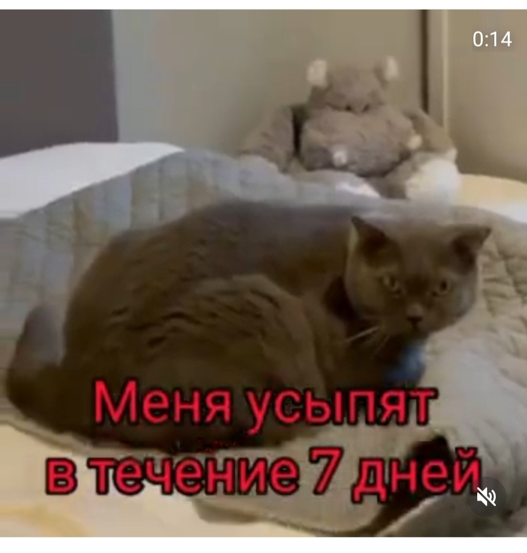 ChiViTa75569874's tweet photo. можно репост!!! https://t.co/cORpbihtto
