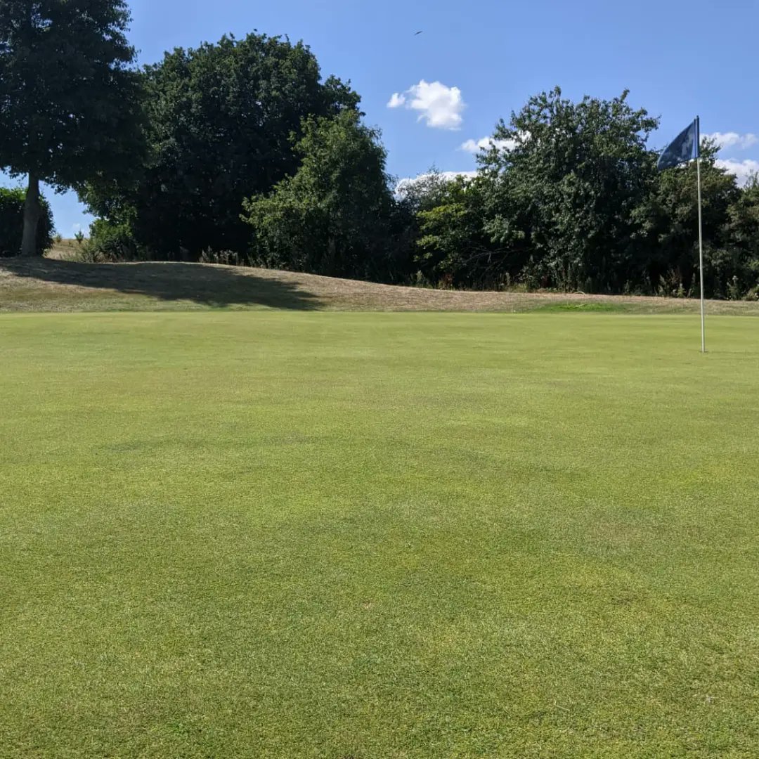 CaddingtonGolfC's tweet photo. Not bad for a #tuesday
Blue course greens were cut and fed today ahead of the club championship on the 20/8/22
6-2-10 Grow Power feed today from #turfcare
Bring on #clubchamps
#golf #Caddingtongolfclub #tees #goling #lutonirish #caddington
@HeadGK_CGC
@turfcarescott https://t.co/Qq7VA0cE6p