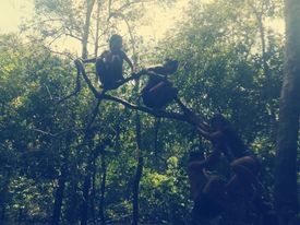 StepInTheAmazon's tweet photo. @robgeog @geoblogs @stevebracegeog @totalgeography @geosteve7 @Primageographer @StephenScoffham @KingsBrazil @cambridgebrazil @OxfordBrazil @IOE_London 
Learning so much from the children.  Loving spending time with them. https://t.co/mriSv42sA1