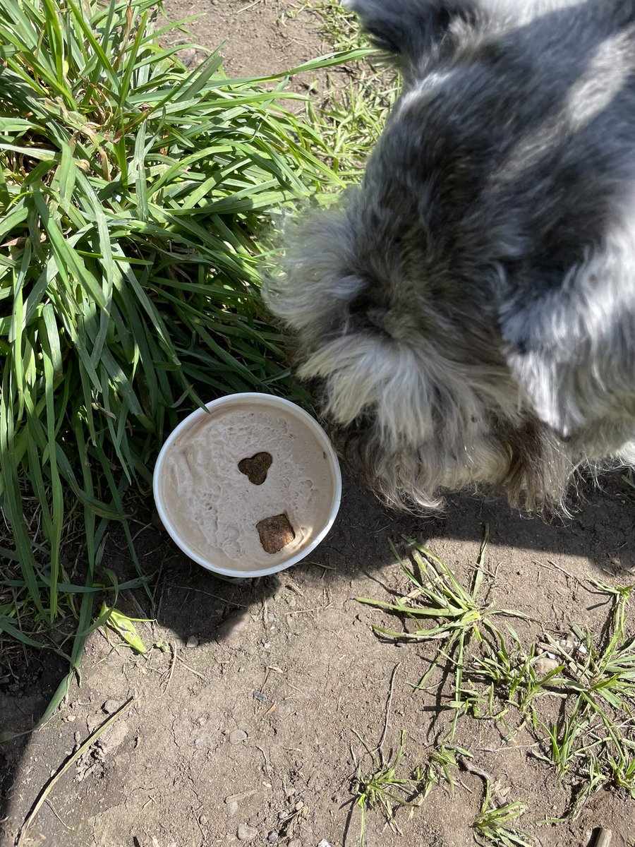 Marissa Sanders (@mesanders28) on Twitter photo Today, the ice cream parlour called. Irwin Mitchell’s Flexible by Choice policy allowed me to answer.
Cue a shady walk then a doggy ice cream for Charlie!
#LifeatIM <a href="/IMCareers/">Irwin Mitchell Careers</a> Today, the ice cream parlour called. Irwin Mitchell’s Flexible by Choice policy allowed me to answer.
Cue a shady walk then a doggy ice cream for Charlie!
#LifeatIM <a href="/IMCareers/">Irwin Mitchell Careers</a>