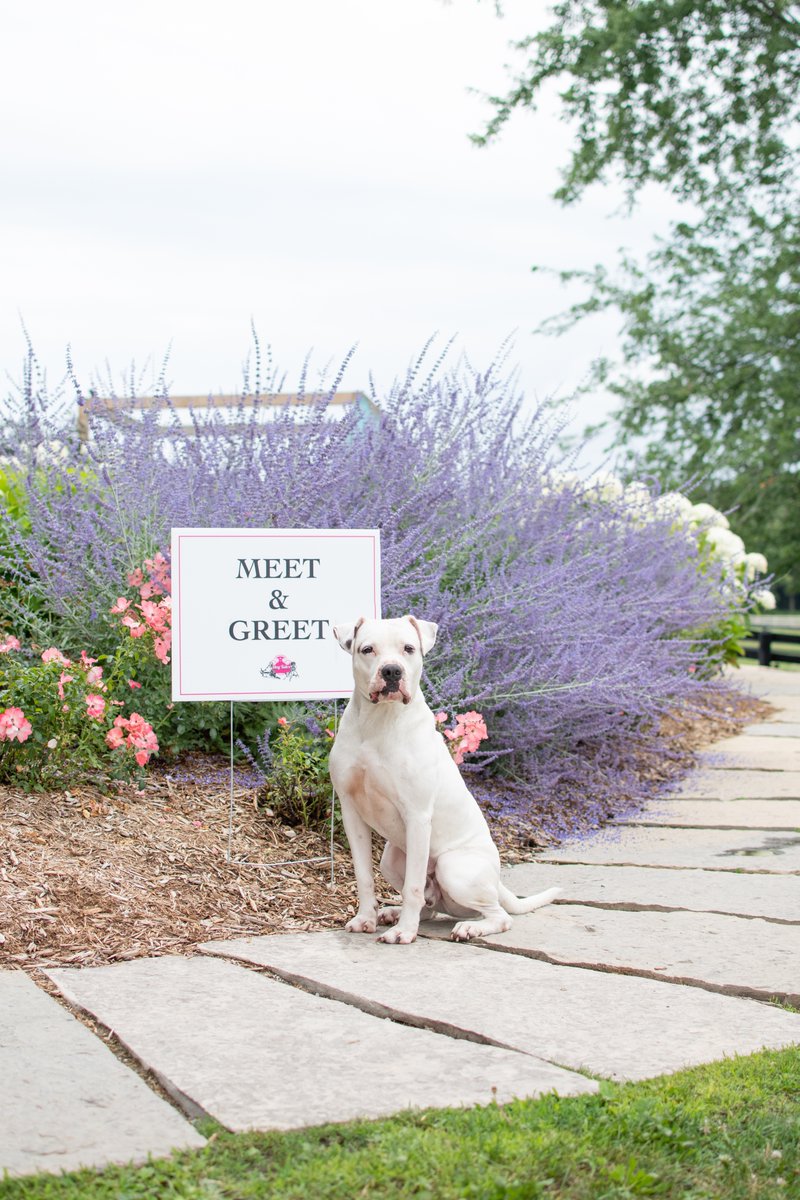 Will you be attending our Open House this Wednesday from 2pm-4pm? We know Tommy will 💙