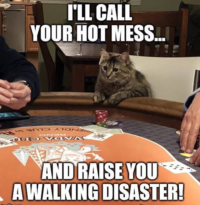PonyUpFun's tweet photo. Happy International Cat’s Day! 😽😸😻
.
.
.
.
#catsday #internationalcatsday #catgambling #pokercat #gamblingcat #catgambler #pokerjokes #pokermemes #catmemes https://t.co/ZM81OQij3i