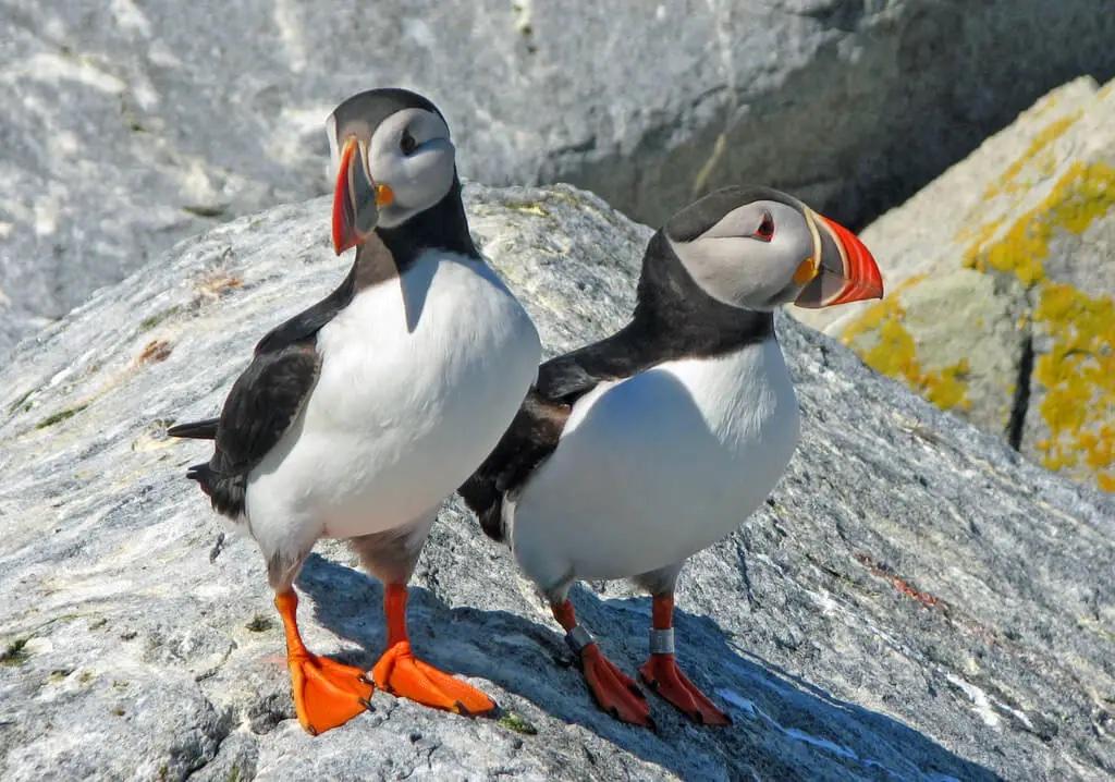 Steve Jermanok tweet media