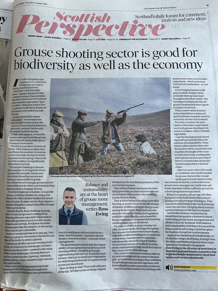 Driven grouse shooting is “delivering crucial net gains for biodiversity” This is incredible <a href="/TheScotsman/">The Scotsman</a>!

If so can we request independent proof of this for each licence application?  <a href="/MairiMcAllan/">Màiri McAllan</a> <a href="/lornaslater/">Lorna Slater</a>