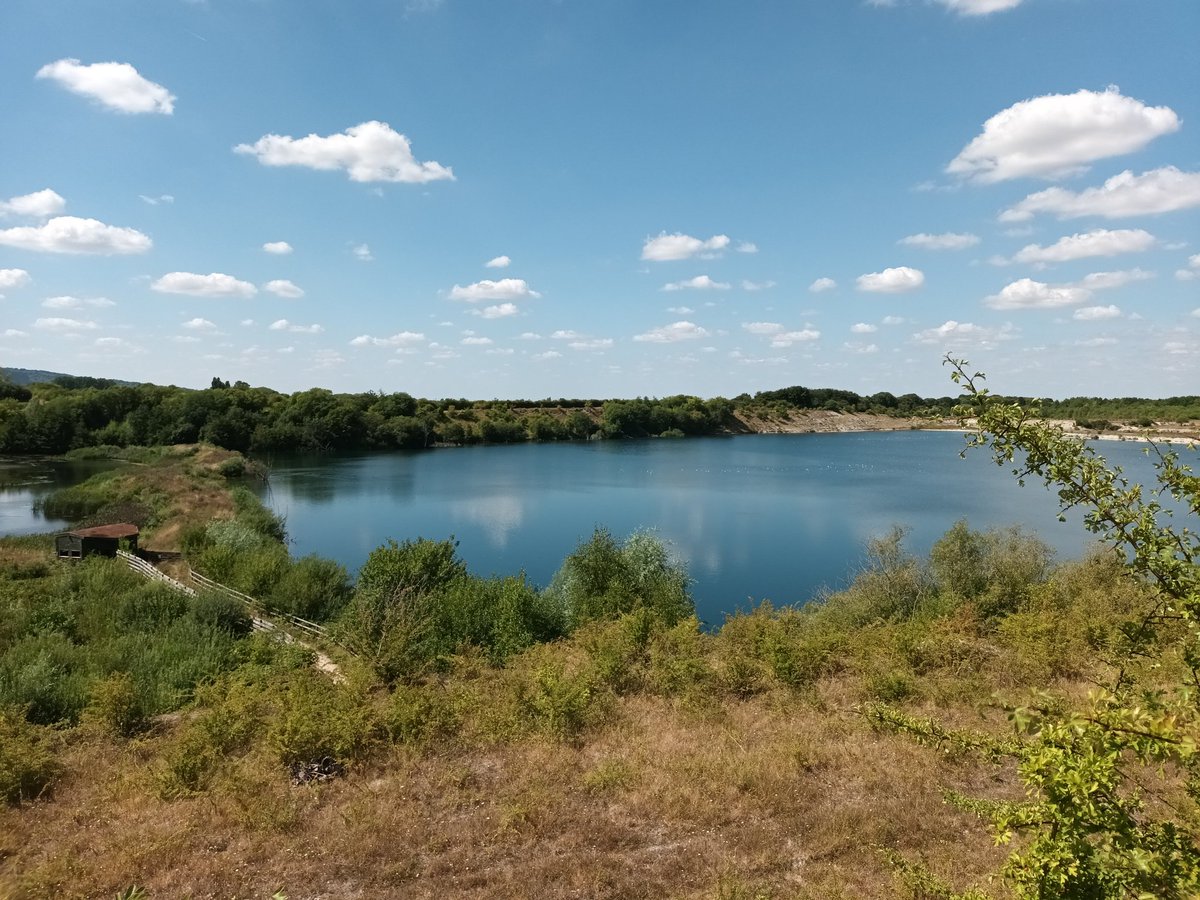 No need to go away for a summer holiday with places like this on our doorstep! <a href="/BBOWT/">BBO Wildlife Trust</a> <a href="/college_lake/">College Lake</a> 😀