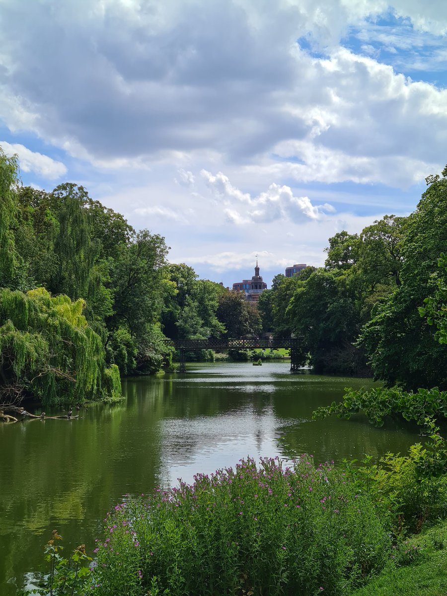 Blue Virtue (@bluevirtueweb) on Twitter photo 