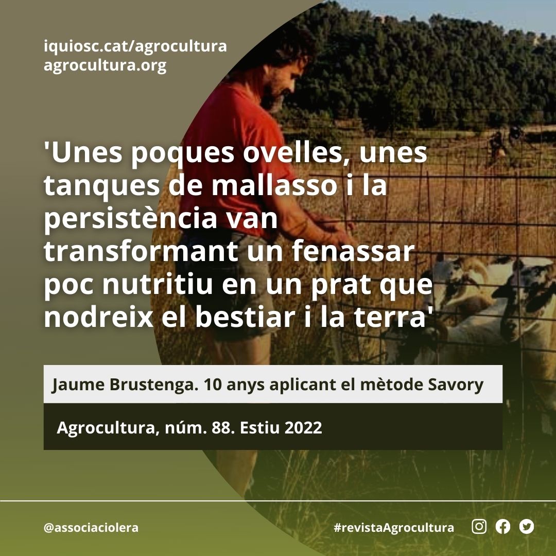 Associació L'Era tweet media