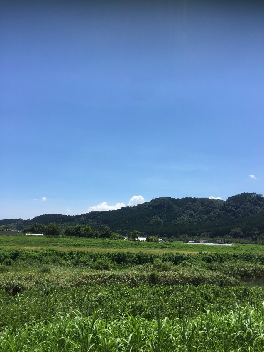 kiriwaii's tweet photo. 綾町の空は広い https://t.co/cmRrGpJMN2