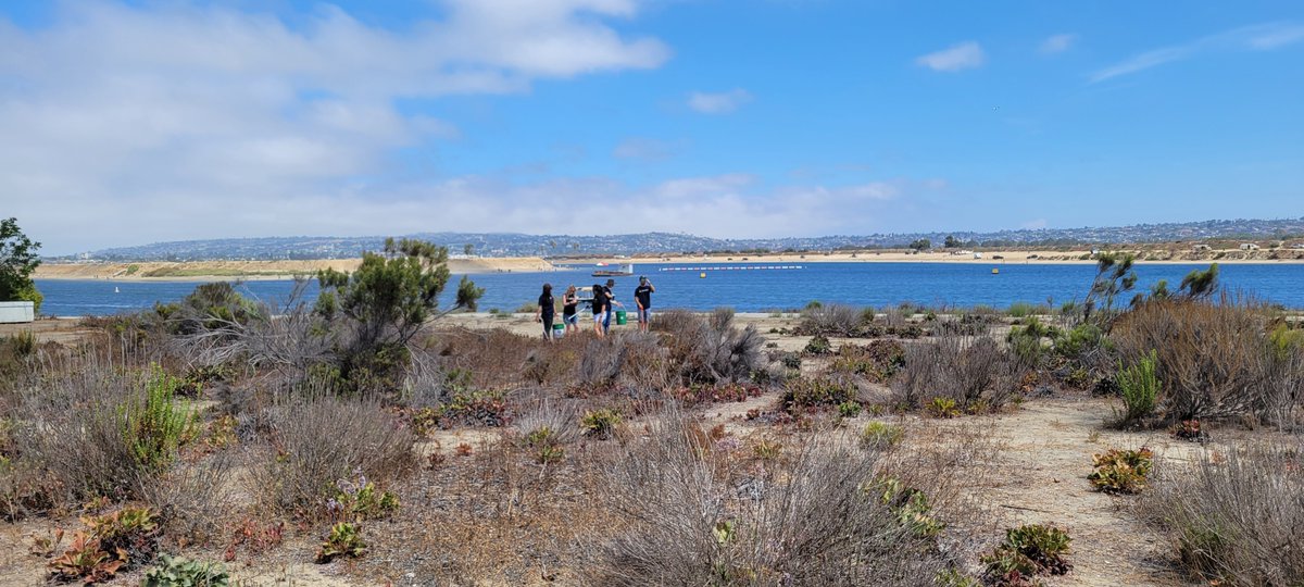 Ampirical's tweet photo. This weekend our San Diego team participated in @iloveacleansd’s Coastal Cleanup Day! We are proud to partner with such an impactful organization for another opportunity to keep our community clean. #ILACSD #MorePowerfulTogether https://t.co/v0ViRKOouV
