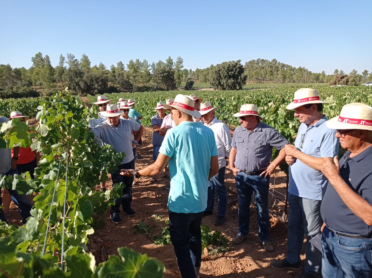 AguaCide's tweet photo. Hoy desde el @CidEinvestiga @CSIC @CSICval hemos podido enseñar algunos resultados del proyecto #ValoraBobal al pleno de la @DOUtielRequena reconociendo en campo los biotipos de la variedad Bobal más interesantes https://t.co/GrDXRntppe