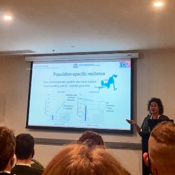 Caitlyn O'Dea tweet media