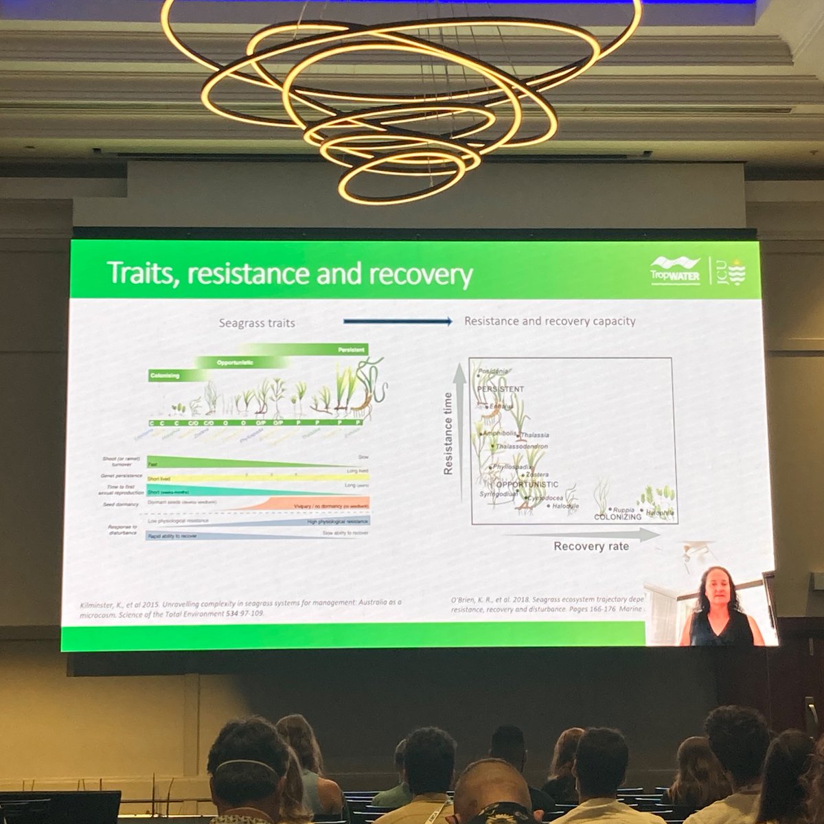 Caitlyn O'Dea tweet media