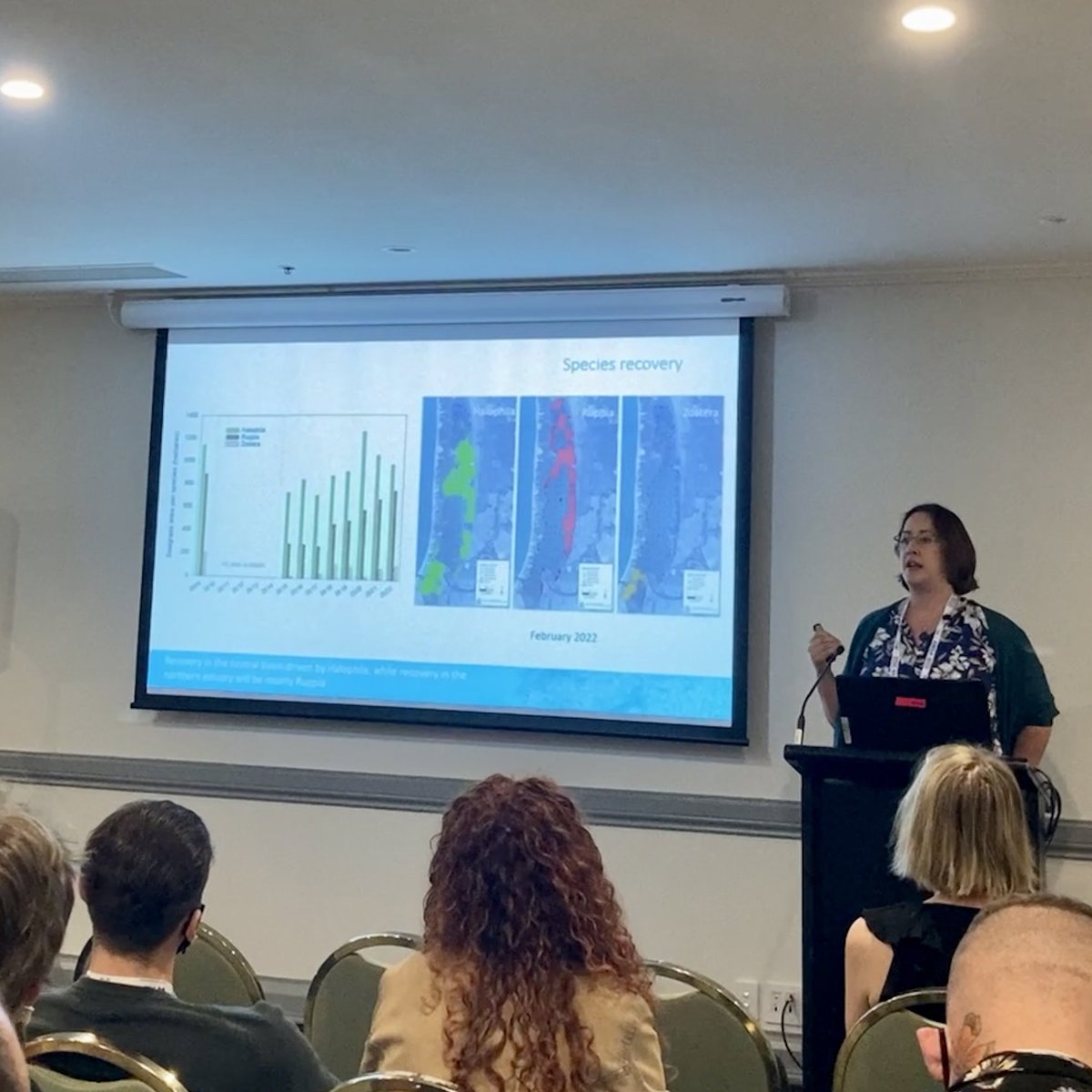 Caitlyn O'Dea tweet media