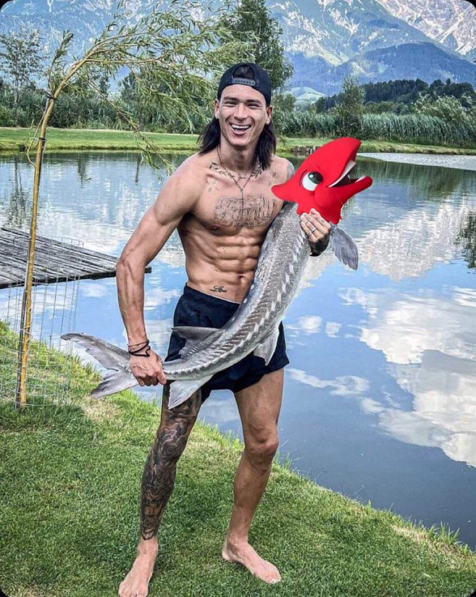 MightyRed_LFC's tweet photo. I’m not mad, I just want to know who did this 😑

#NotAFish https://t.co/QMOmCGEY3V
