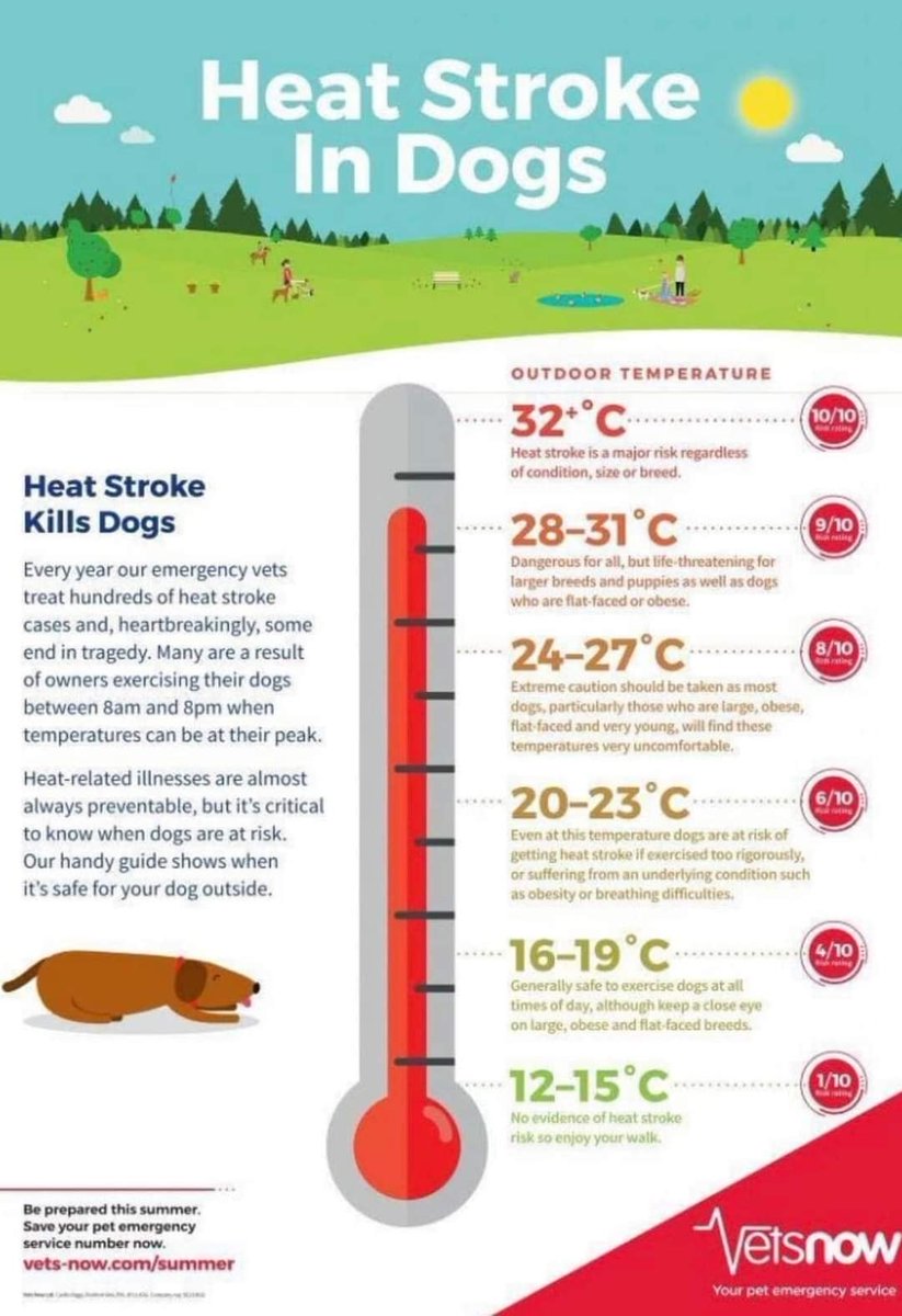 Please retweet, keep your dog at home in the shade, no dog ever died from a missed walk!