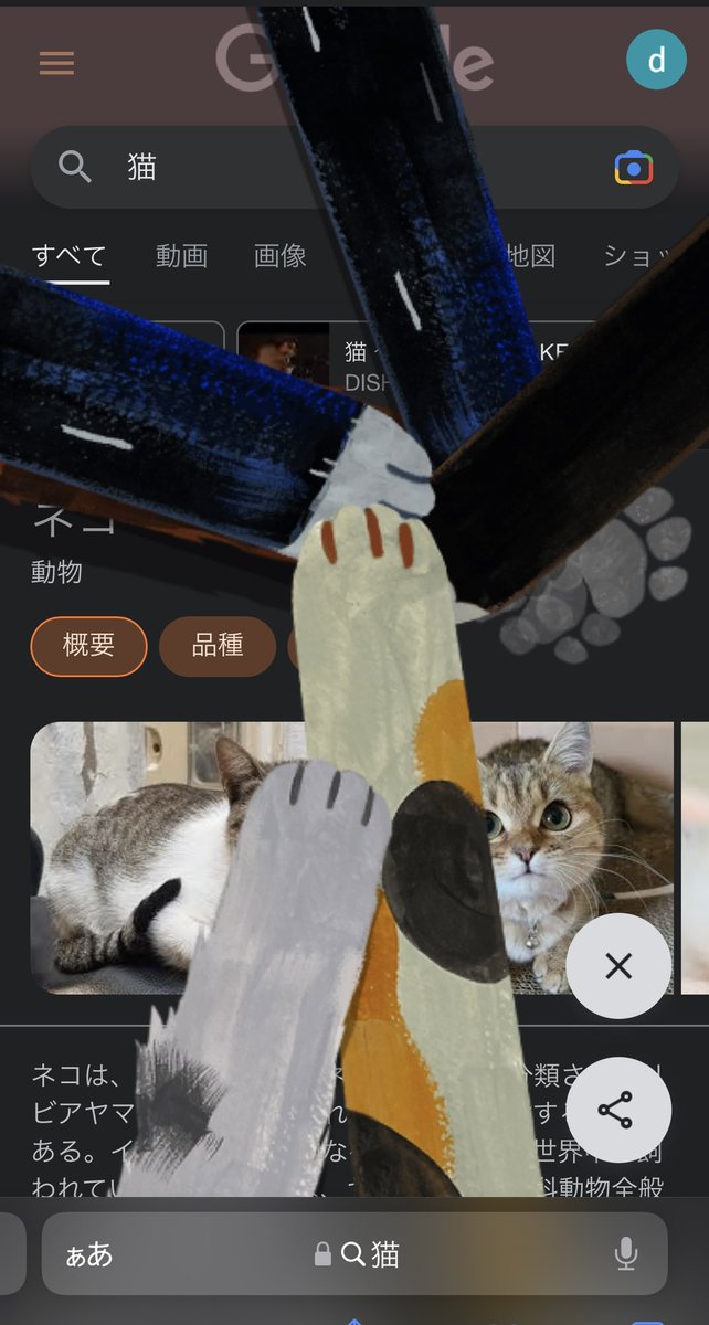 dk_fishing's tweet photo. まだできる😺 https://t.co/iNzgmMX0aO