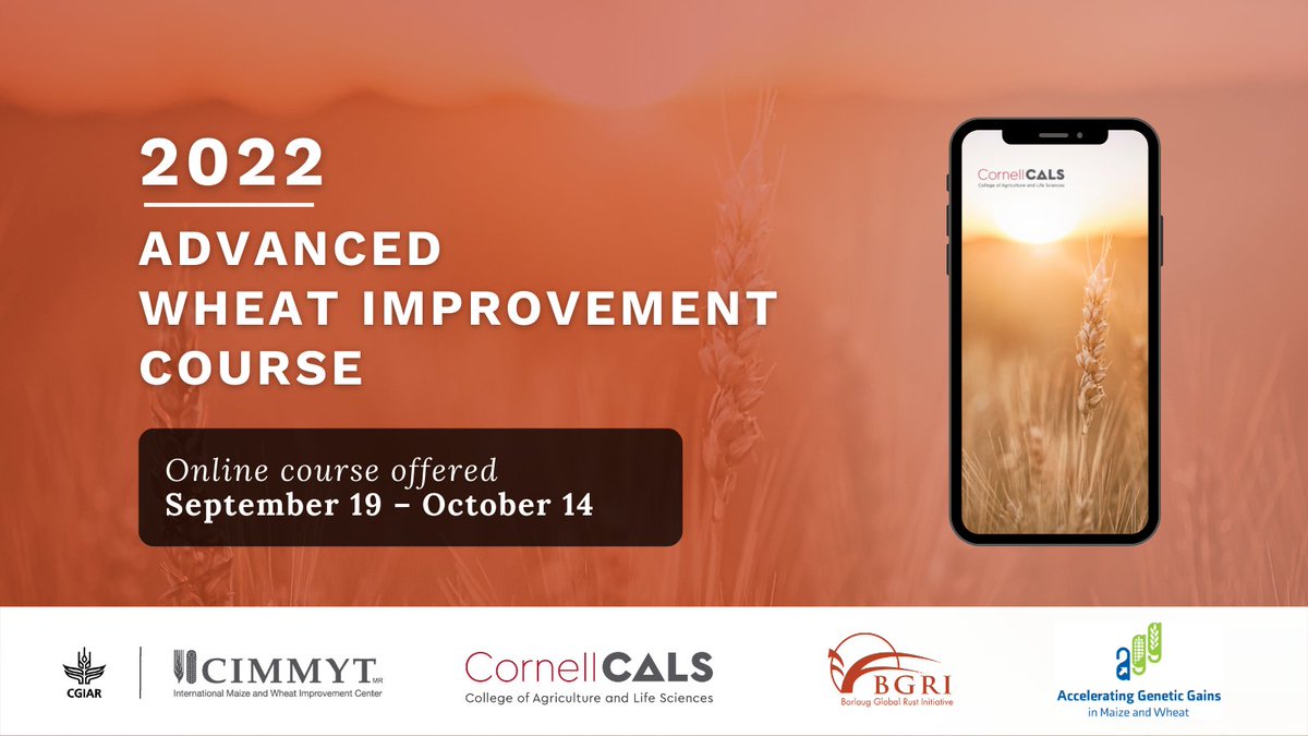Applications open for the Advanced Wheat Improvement Course! For the 1st time in 2022 jointly presented by <a href="/Cornell/">Cornell University</a> <a href="/CIMMYT/">CIMMYT</a> via <a href="/globalrust/">Borlaug Global Rust Initiative</a>. Online 19th Sept-14th Oct covering breeding technologies and their application for wheat improvement #AGGproject bgri.cornell.edu/cornell-togeth…