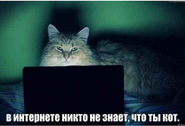 МауМиу tweet media