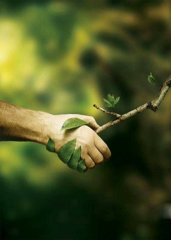hashimaljahdali's tweet photo. ماذا تعني؟ https://t.co/i6TsQxgDHn