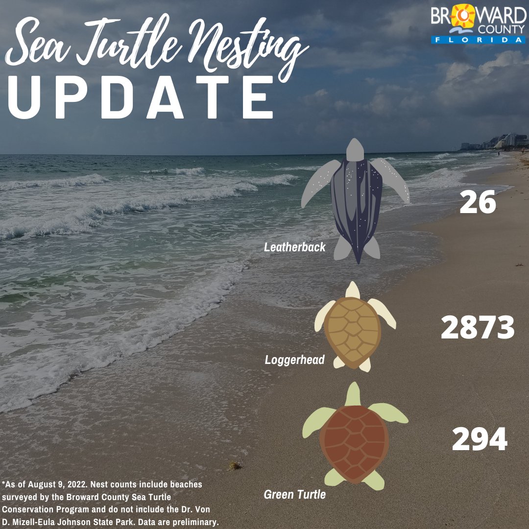 Time for another #TurtleTuesday nesting update! 🐢 How many more nests do you think we'll document before this season is over?