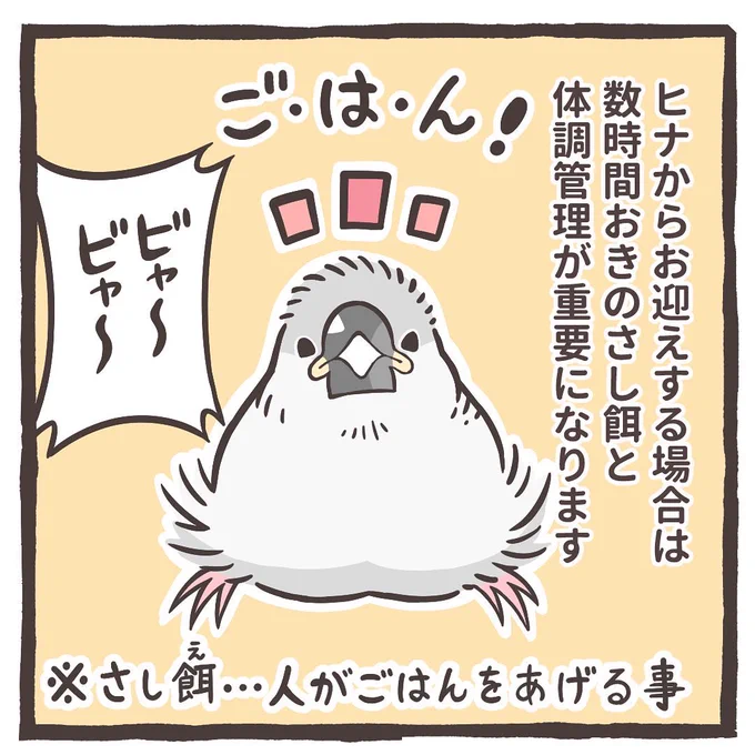 インスタで鳥さんのマンガ更新してます🤲

https://t.co/OHYD5rHzWb 