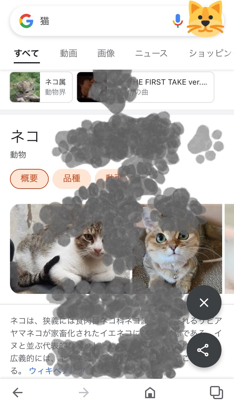 希少!!】 もぐもぐ猫ページになります ワンピース