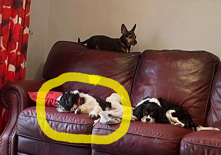 HooleCommunityCentre tweet media